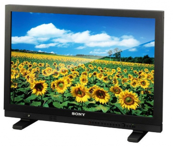 Ремонт монитора Sony LMD-A240